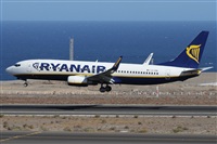 Alfonso Sols - Asociacin Canary Islands Spotting. Click to see full size photo