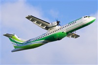 Saimon J Rodriguez   -   Canary Islands Spotting. Click to see full size photo