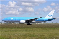 Miguel A. gueda Rguez.  (CANARY ISLANDS SPOTTING). Click to see full size photo