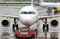 Javier de la Cruz - CANARY ISLANDS SPOTTING. Haz click para ampliar