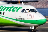 Javier de la Cruz - CANARY ISLANDS SPOTTING. Click to see full size photo