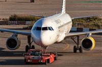 Javier de la Cruz - CANARY ISLANDS SPOTTING. Click to see full size photo