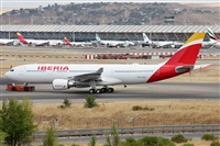 ©Alfonso Solís - Asociación Canary Islands Spotting. Click to see full size photo ©Alfonso Solís - Asociación Canary Islands Spotting. Click to see full size photo