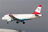 Nacho Rodriguez - Canary Islands Spotting. Click to see full size photo