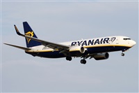 Alfonso Sols - Asociacin Canary Islands Spotting. Click to see full size photo
