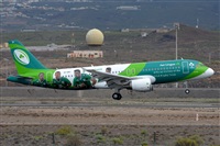 Miguel A. gueda Rguez.  (CANARY ISLANDS SPOTTING). Click to see full size photo