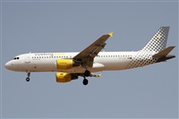 ©Alfonso Solís - Asociación Canary Islands Spotting. Click to see full size photo ©Alfonso Solís - Asociación Canary Islands Spotting. Click to see full size photo