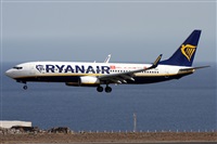 Alfonso Sols - Asociacin Canary Islands Spotting. Click to see full size photo
