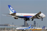 Miguel A. gueda Rguez.  (CANARY ISLANDS SPOTTING). Haz click para ampliar