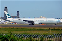 Miguel A. gueda Rguez.  (CANARY ISLANDS SPOTTING). Click to see full size photo