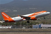 Alfonso Sols - Asociacin Canary Islands Spotting. Click to see full size photo