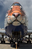 EC-ISM. Click to see full size photo