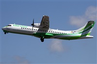 ©Alfonso Solís - Asociación Canary Islands Spotting. Click to see full size photo ©Alfonso Solís - Asociación Canary Islands Spotting. Click to see full size photo