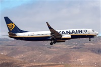 Romn Valladares-Gran Canaria Spotters. Click to see full size photo