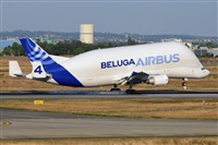 Miguel A. gueda Rguez.  (CANARY ISLANDS SPOTTING). Click to see full size photo