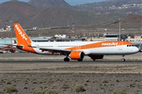 ©Alfonso Solís - Asociación Canary Islands Spotting. Click to see full size photo ©Alfonso Solís - Asociación Canary Islands Spotting. Click to see full size photo