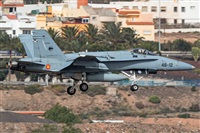 ©Román Valladares-Gran Canaria Spotters. Click to see full size photo ©Román Valladares-Gran Canaria Spotters. Click to see full size photo