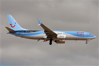 ©J. Victor Vega-Gran Canaria Spotters. Click to see full size photo ©J. Victor Vega-Gran Canaria Spotters. Click to see full size photo