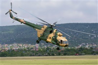 Tams. Click to see full size photo