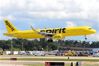 Miguel A. gueda Rguez.  (CANARY ISLANDS SPOTTING). Click to see full size photo