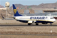 Alfonso Sols - Asociacin Canary Islands Spotting. Click to see full size photo