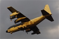 ©J. Victor Vega-Gran Canaria Spotters. Click to see full size photo ©J. Victor Vega-Gran Canaria Spotters. Click to see full size photo