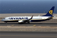 ©Alfonso Solís - Asociación Canary Islands Spotting. Click to see full size photo ©Alfonso Solís - Asociación Canary Islands Spotting. Click to see full size photo