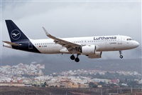 Adolfo Bento - Gran Canaria Spotters. Click to see full size photo