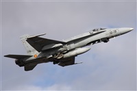 Alfonso Sols - Asociacin Canary Islands Spotting. Click to see full size photo
