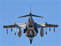 J. Victor Vega-Gran Canaria Spotters. Click to see full size photo