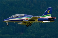 Tams. Click to see full size photo