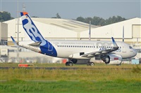 Miguel A. gueda Rguez.  (CANARY ISLANDS SPOTTING). Click to see full size photo