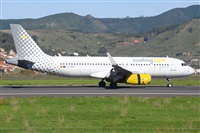 Miguel A. gueda Rguez.  (CANARY ISLANDS SPOTTING). Click to see full size photo