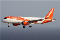 ©Alfonso Solís - Asociación Canary Islands Spotting. Click to see full size photo ©Alfonso Solís - Asociación Canary Islands Spotting. Click to see full size photo
