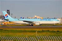 Miguel A. gueda Rguez.  (CANARY ISLANDS SPOTTING). Click to see full size photo