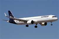 Alfonso Sols - Asociacin Canary Islands Spotting. Click to see full size photo