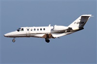 Alfonso Sols - Asociacin Canary Islands Spotting. Haz click para ampliar