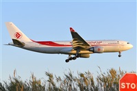 Miguel A. gueda Rguez.  (CANARY ISLANDS SPOTTING). Haz click para ampliar