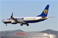 Miguel A. gueda Rguez.  (CANARY ISLANDS SPOTTING). Click to see full size photo