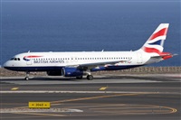 Alfonso Sols - Asociacin Canary Islands Spotting. Haz click para ampliar