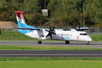Miguel A. gueda Rguez.  (CANARY ISLANDS SPOTTING). Click to see full size photo