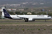 Alfonso Sols - Asociacin Canary Islands Spotting. Haz click para ampliar