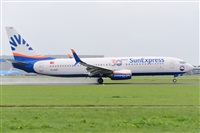 Miguel A. gueda Rguez.  (CANARY ISLANDS SPOTTING). Haz click para ampliar