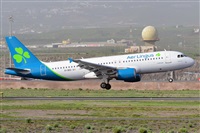 Miguel A. gueda Rguez.  (CANARY ISLANDS SPOTTING). Click to see full size photo