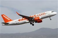 Alfonso Sols - Asociacin Canary Islands Spotting. Click to see full size photo