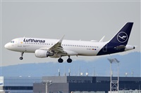 Miguel A. gueda Rguez.  (CANARY ISLANDS SPOTTING). Click to see full size photo