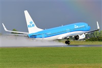 Miguel A. gueda Rguez.  (CANARY ISLANDS SPOTTING). Click to see full size photo