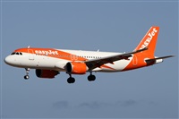 Alfonso Sols - Asociacin Canary Islands Spotting. Haz click para ampliar