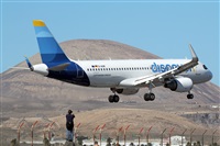 Adrin Alonso Lemes - Lanzarote Spotters. Haz click para ampliar