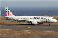 ©Alfonso Solís - Asociación Canary Islands Spotting. Click to see full size photo ©Alfonso Solís - Asociación Canary Islands Spotting. Click to see full size photo